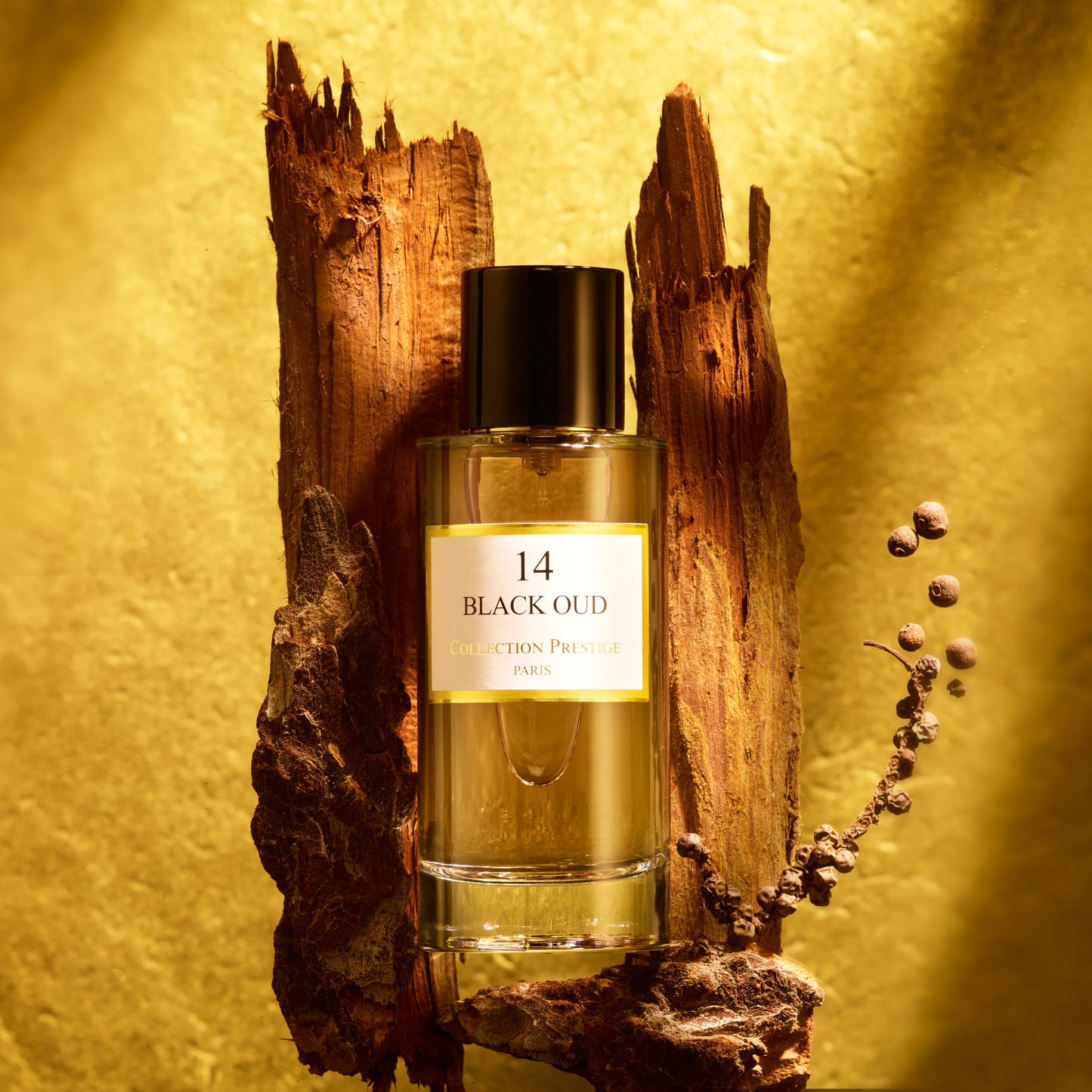 BLACK OUD